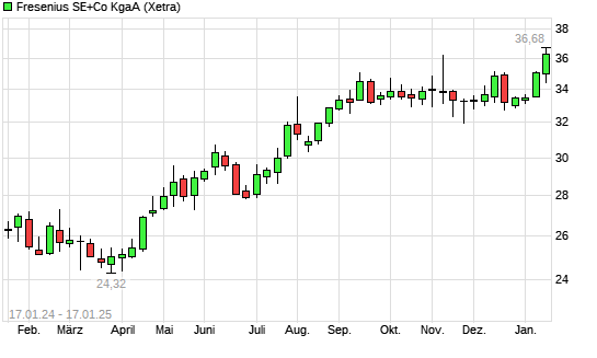 Fresenius Aktie Mit Neuem Monats Hoch Boerse De