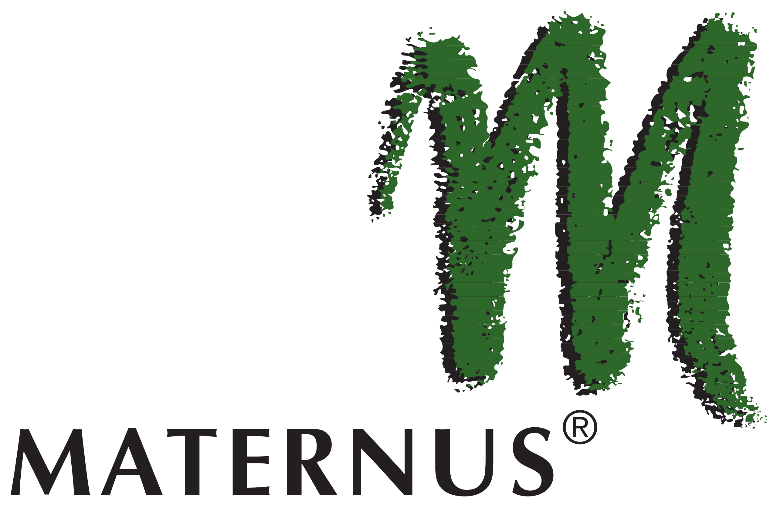 Maternus-Kliniken-Aktie
