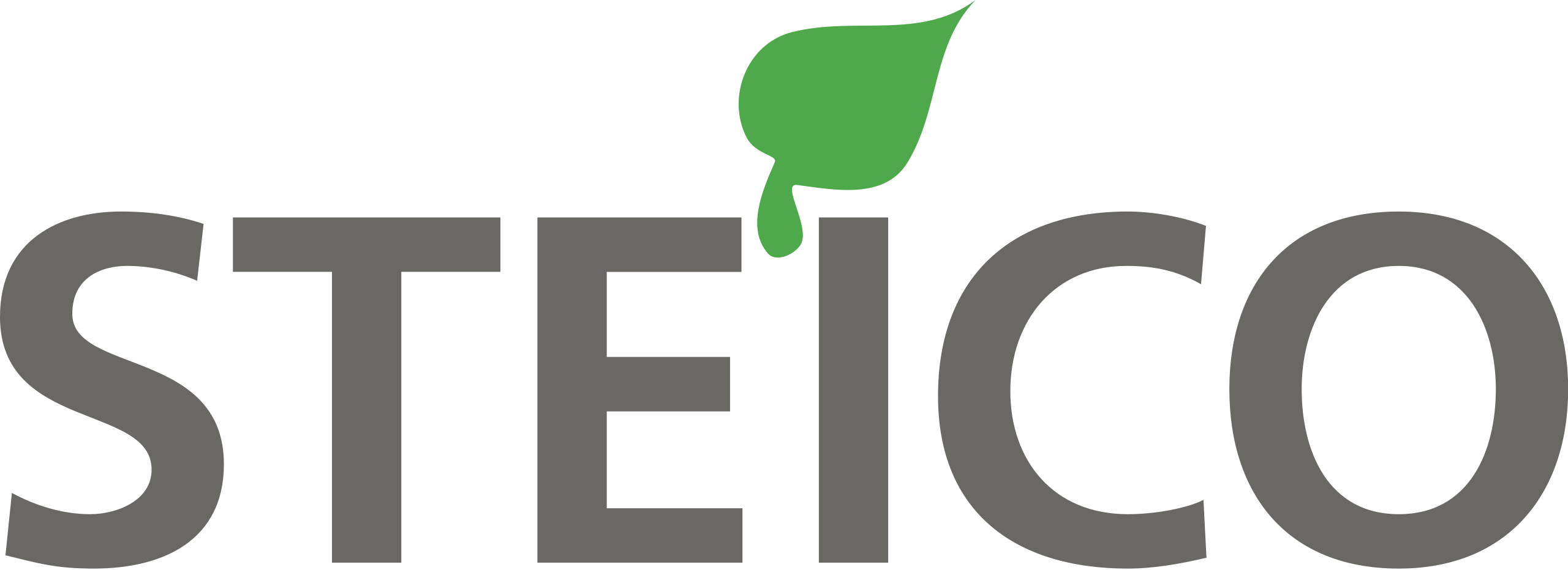 Steico-Aktie